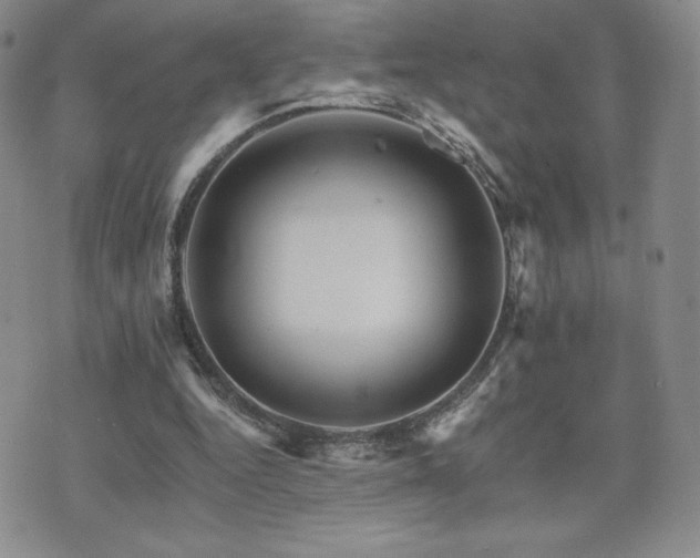 X0000075860344200609151231