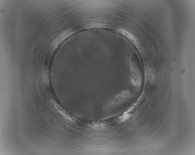 X0000075860345200609151231