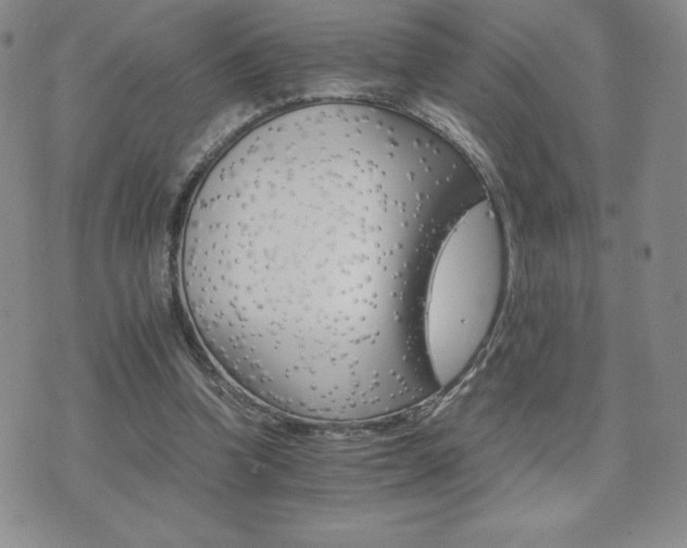 X0000075860346200609151231