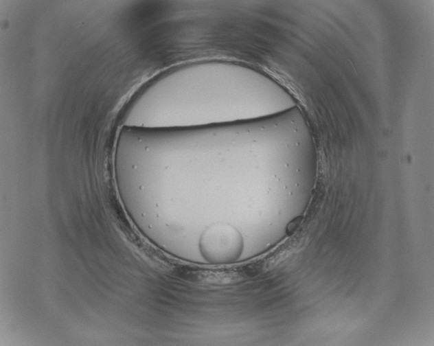 X0000075860347200609151232