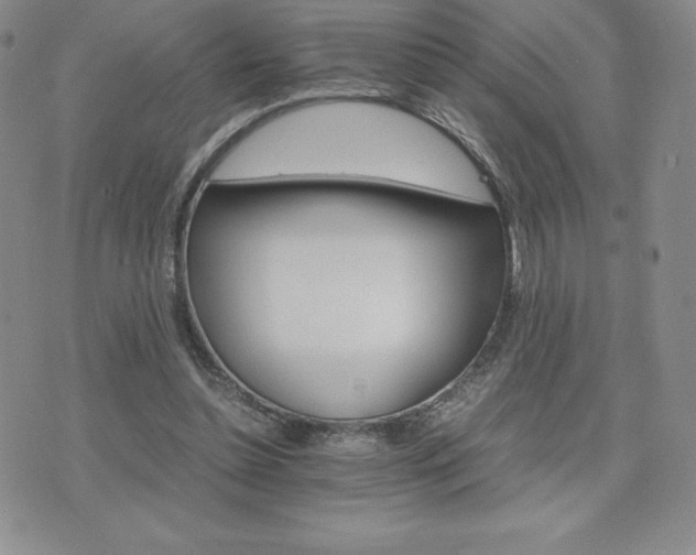 X0000075860348200609151232