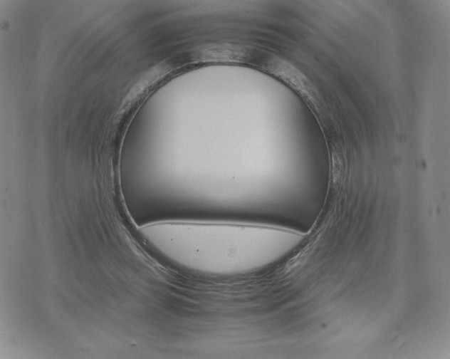 X0000075860349200609151232