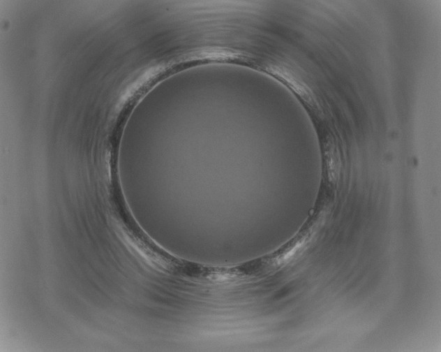 X0000075860350200609151232