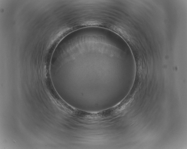 X0000075860351200609151232