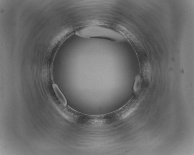 X0000075860352200609151232