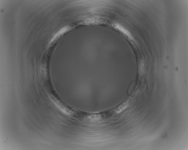 X0000075860353200609151232