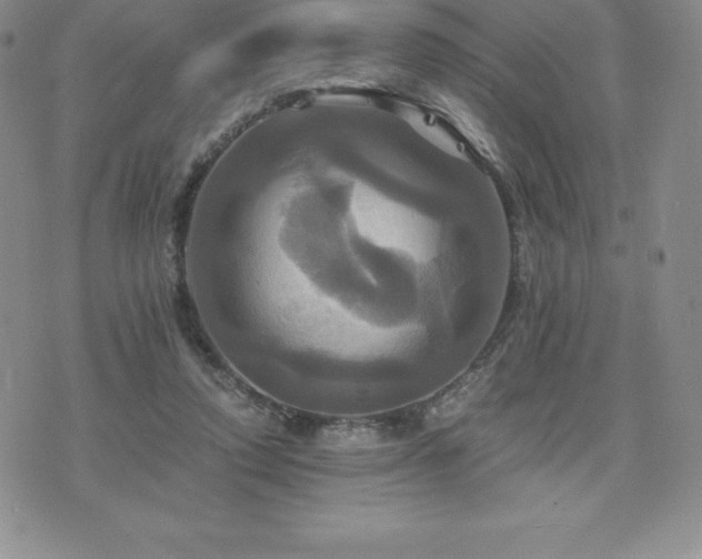 X0000075860354200609151232