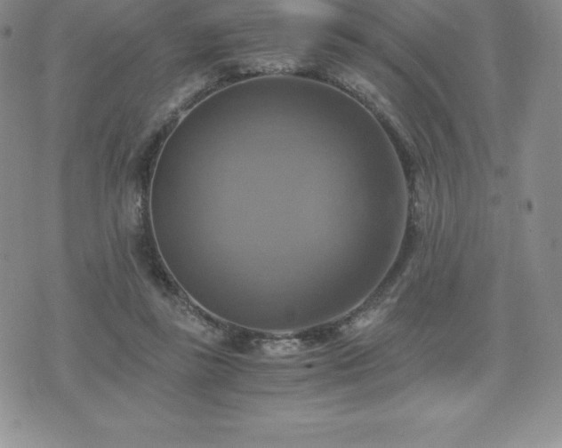 X0000075860355200609151232