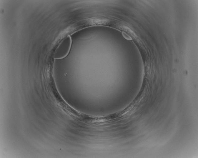 X0000075860357200609151232