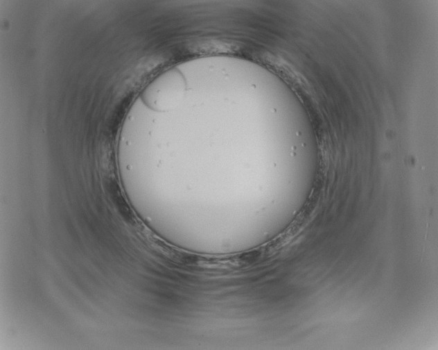 X0000075860359200609151232