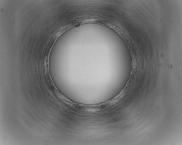 X0000075860360200609151232