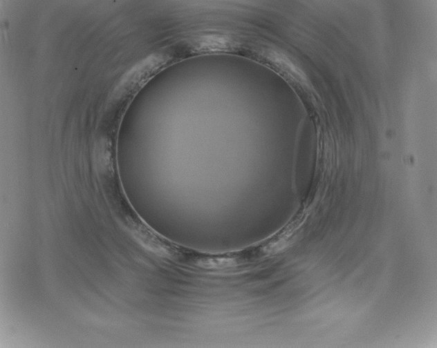 X0000075860361200609151232