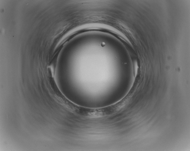 X0000075860362200609151232