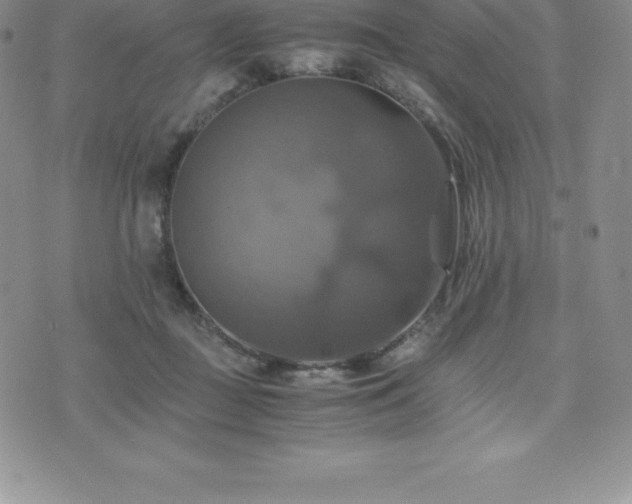 X0000075860363200609151232