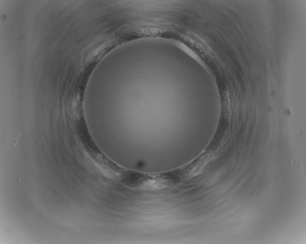 X0000075860364200609151232