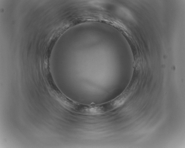 X0000075860365200609151232