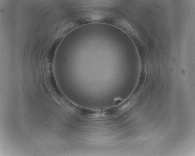 X0000075860366200609151232