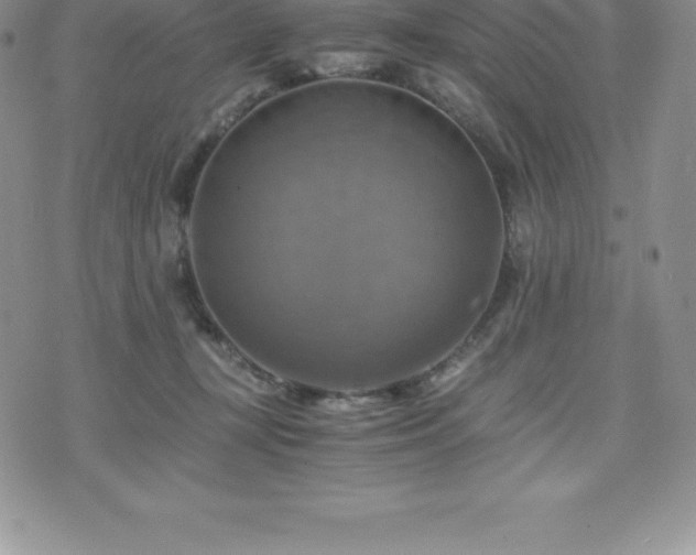 X0000075860367200609151232