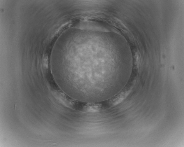 X0000075860368200609151232