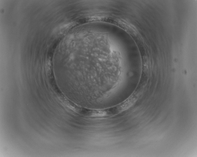 X0000075860369200609151232