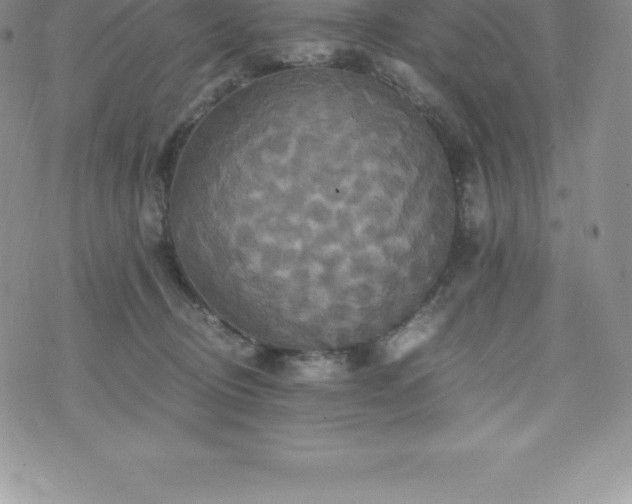 X0000075860370200609151232