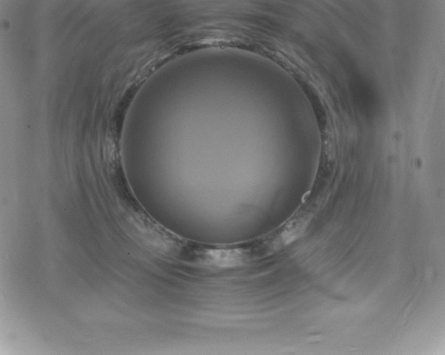 X0000075860371200609151232