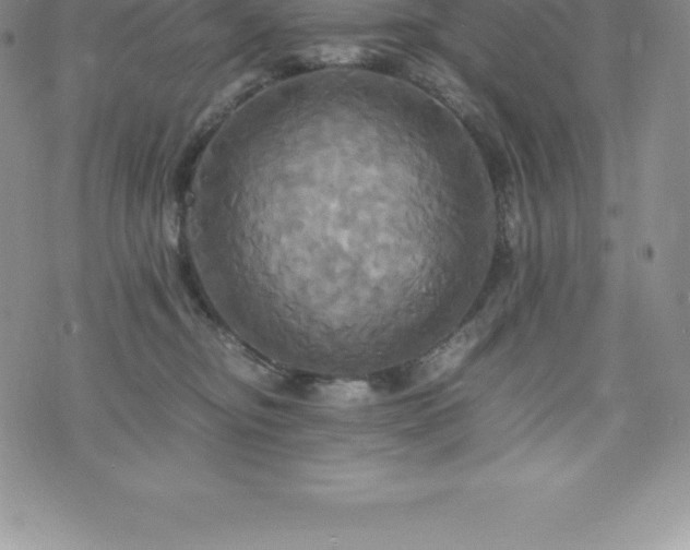 X0000075860374200609151232