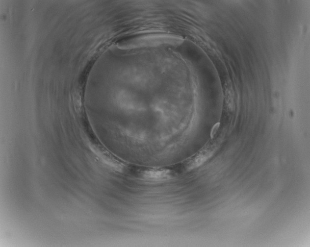 X0000075860375200609151232