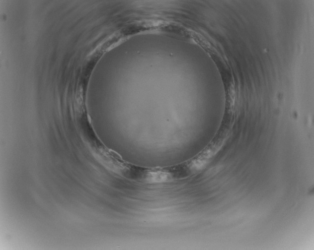 X0000075860376200609151232