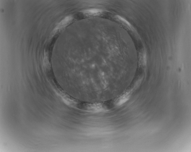 X0000075860377200609151232