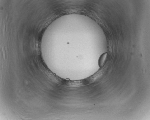 X0000075860378200609151232