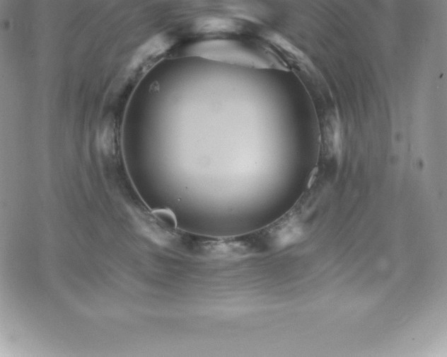 X0000075860379200609151232