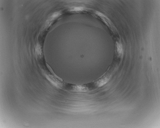 X0000075860380200609151232