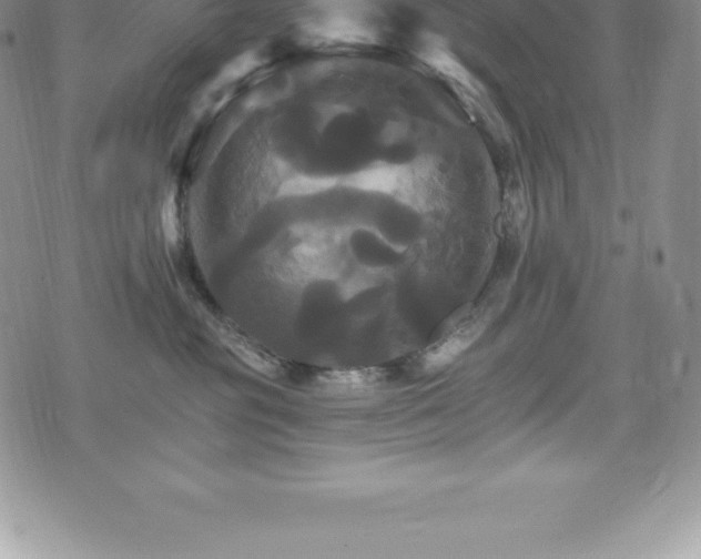 X0000075860381200609151232