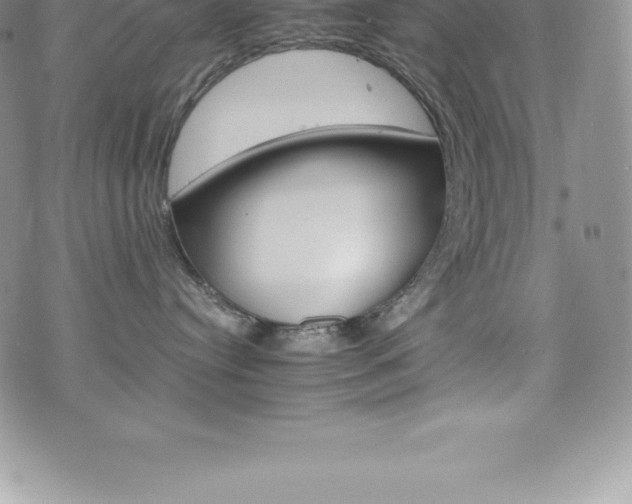 X0000075860384200609151232