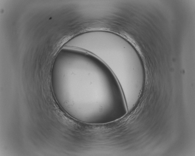 X0000075860385200609151231