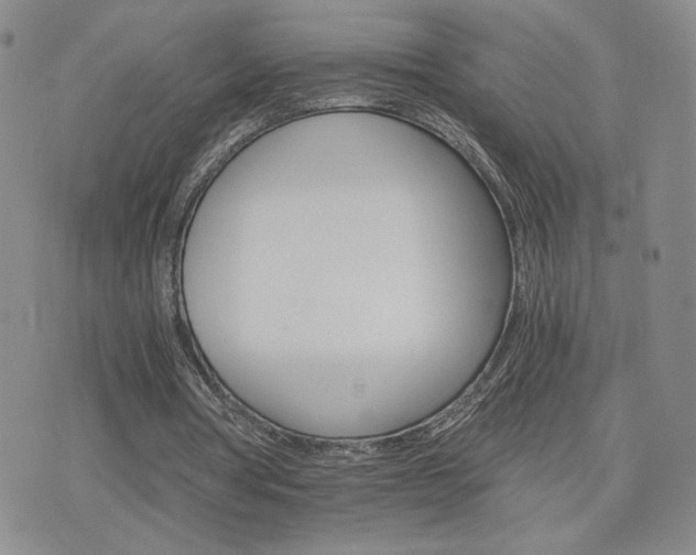 X0000075860386200609151231