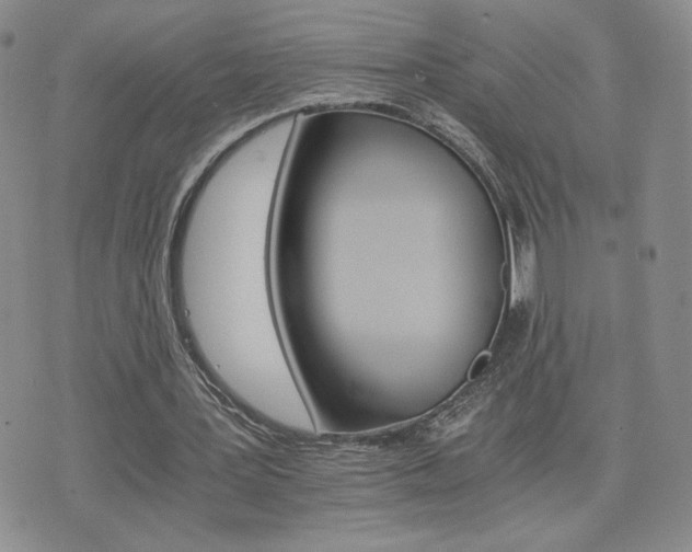 X0000075860387200609151231