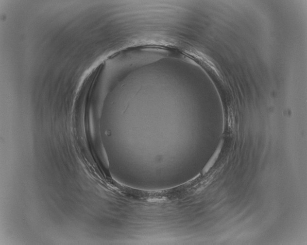 X0000075860388200609151231