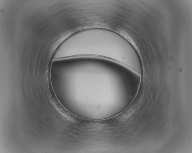 X0000075860389200609151231