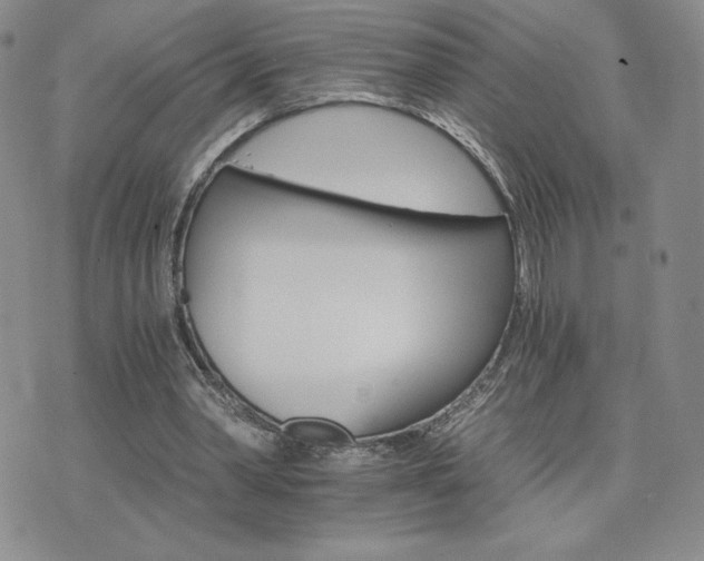 X0000075860390200609151231