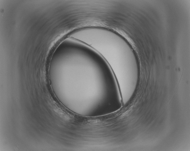 X0000075860391200609151231