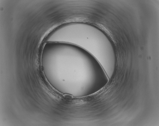 X0000075860392200609151231