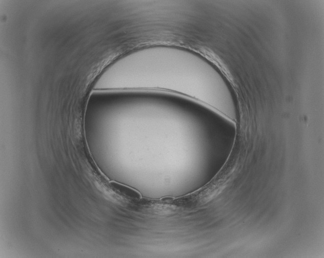 X0000075860393200609151231