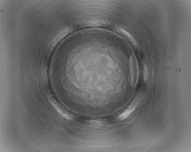 X0000075860394200609151231