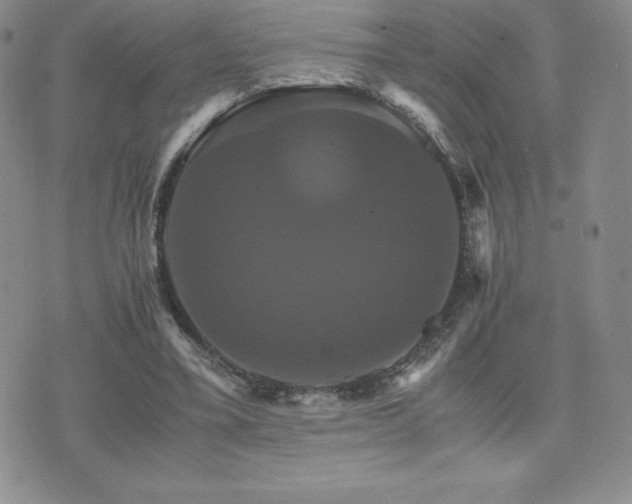 X0000075860395200609151231