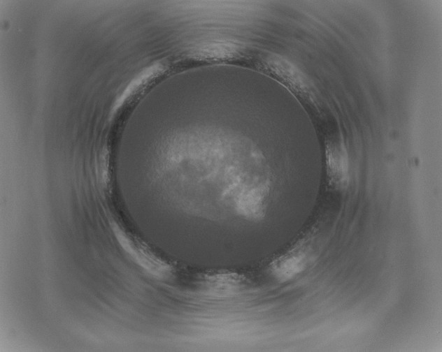 X0000075860396200609151231