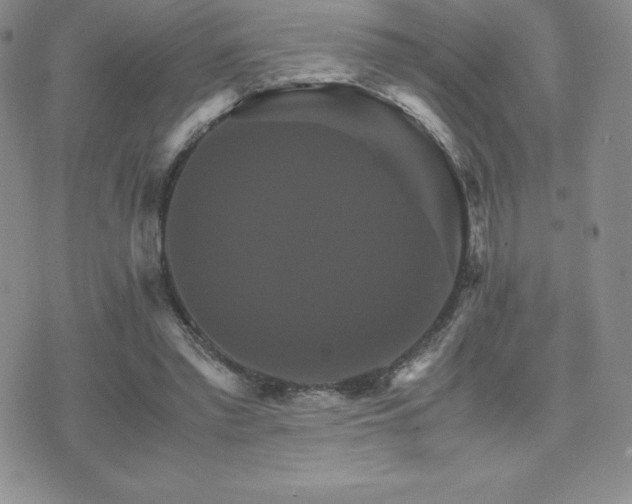 X0000075860397200609151231