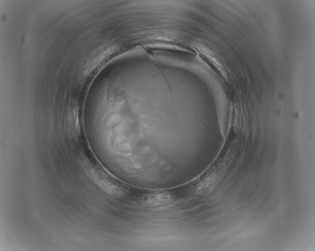 X0000075860398200609151231