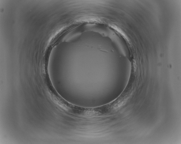 X0000075860399200609151231